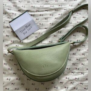 PLG Pistachio small koala